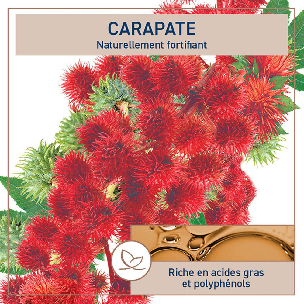 Gros plan de fruits rouges et feuilles vertes. Texte Carapate, naturellement fortifiant, et texte en français.