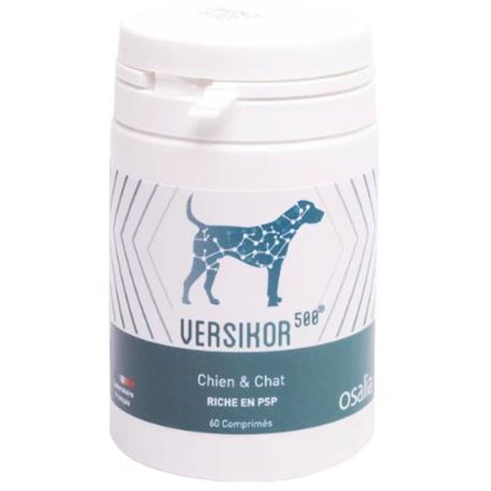 Weiße Dose mit Deckel. Aufschrift Versikor 500® und Hund-Silhouette. Text: Chien & Chat, Riche en PSP, 60 comprimés.