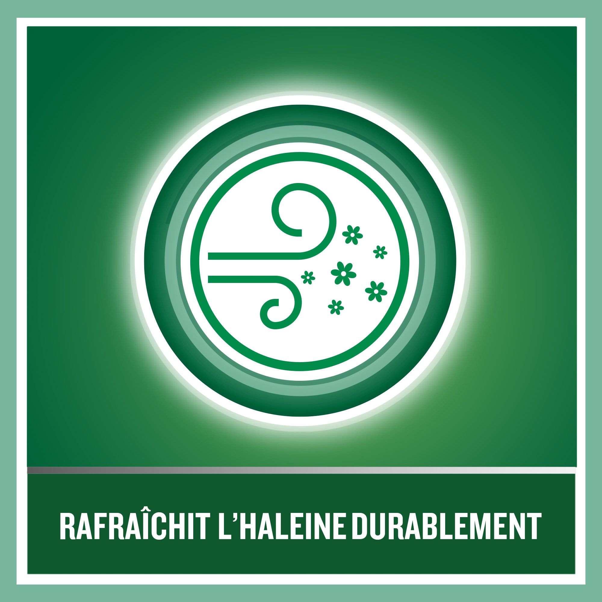 Listerine® Mundspülung Zahn- und Zahnfleischschutz