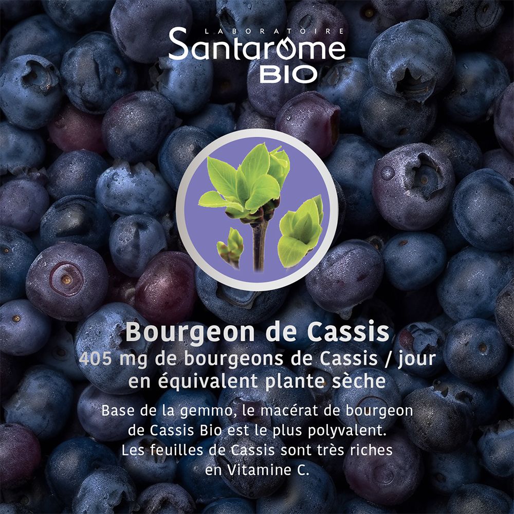 Santarome Bio Schwarze Johannisbeere Komplex 1 Knospe Bio und Frisch U51