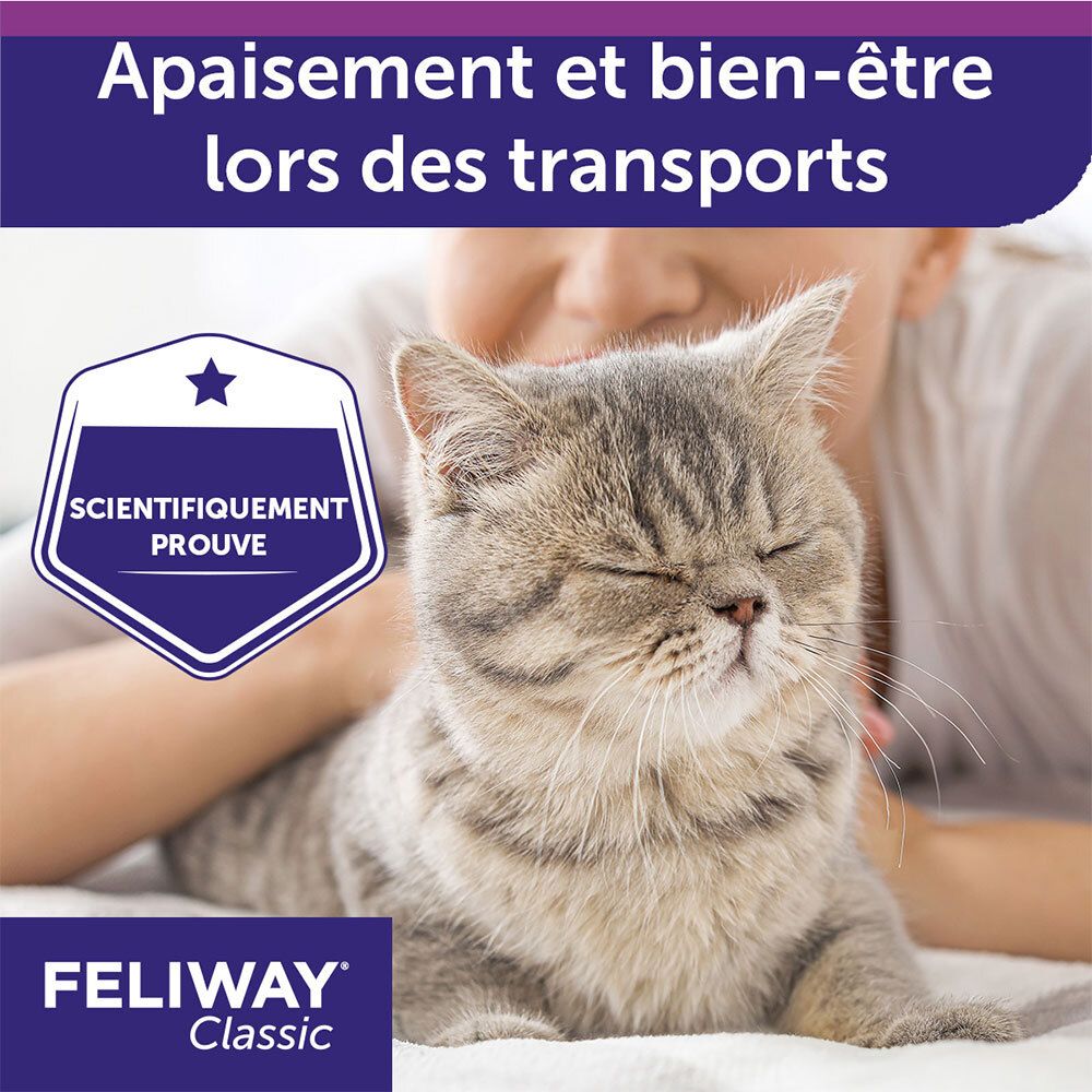 Chat sur fond blanc. Texte : Apaisement et bien-être lors des transports. Logo FELIWAY Classic. Scientifiquement prouvé.