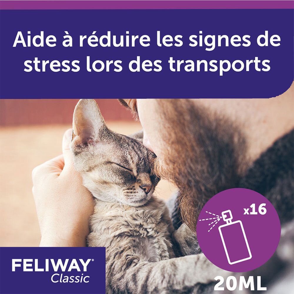 Homme embrassant un chat. Texte : Aide à réduire les signes de stress lors des transports. Logo FELIWAY Classic. 20 ml, x16.