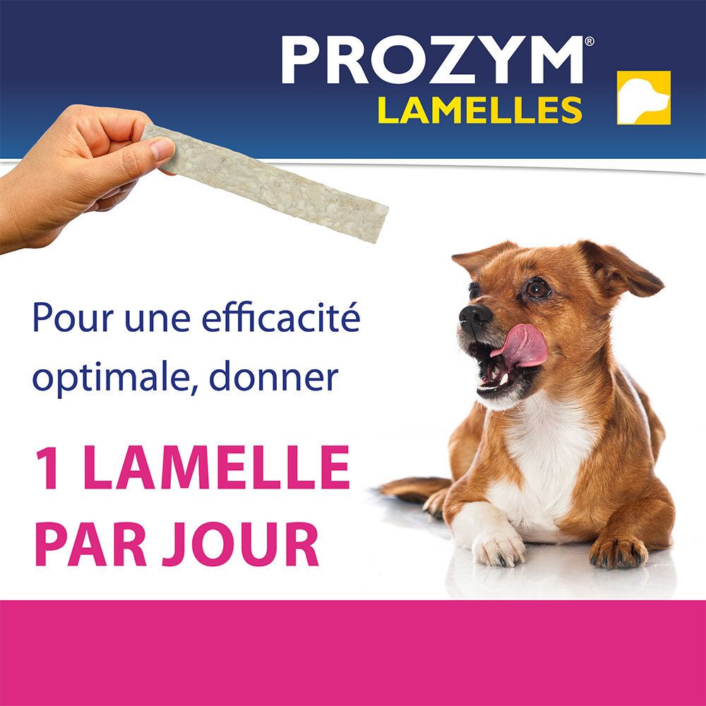 Prozym Lamelles. Eine Lamelle pro Tag. Ein Hund leckt sich die Lippen. Text: Für optimale Wirksamkeit, geben Sie 1 Lamelle pro Tag.