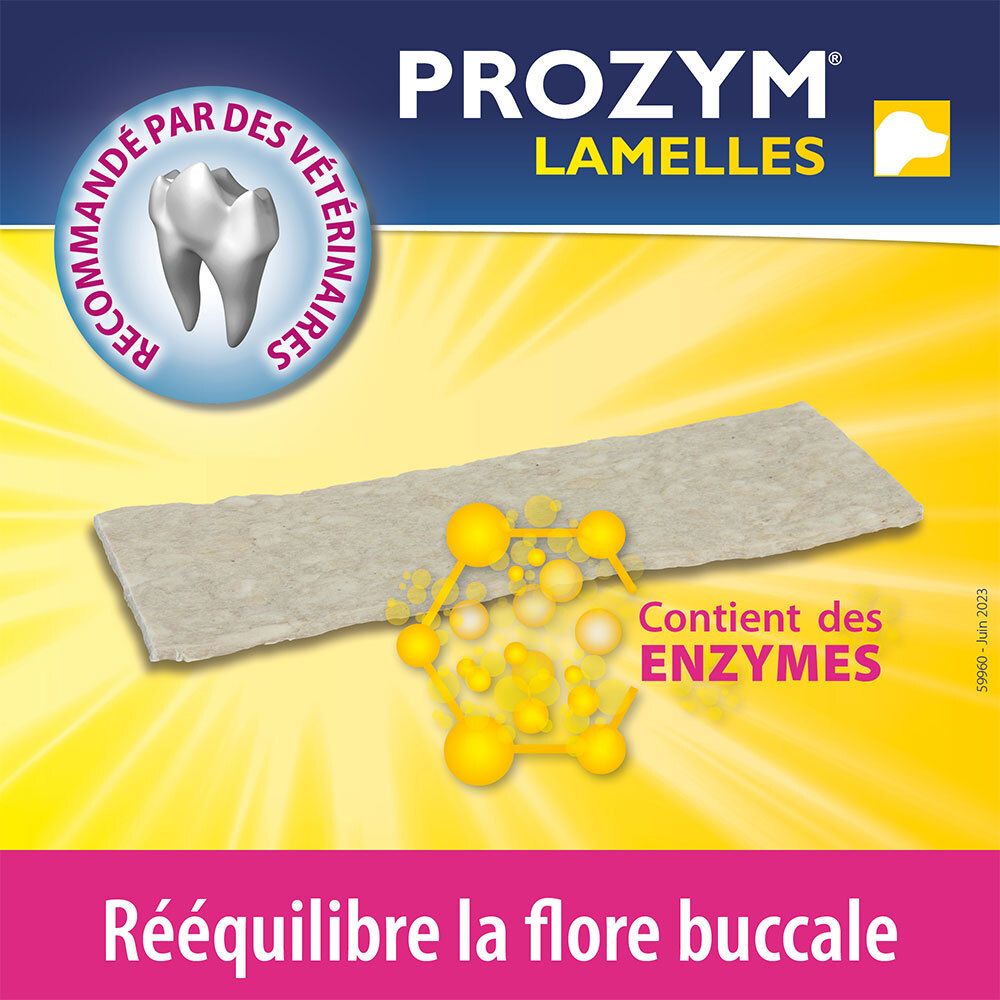 Nahaufnahme einer Lamelle. Gelber Hintergrund mit Text: Enthält Enzyme. Text: Rééquilibre la flore buccale.