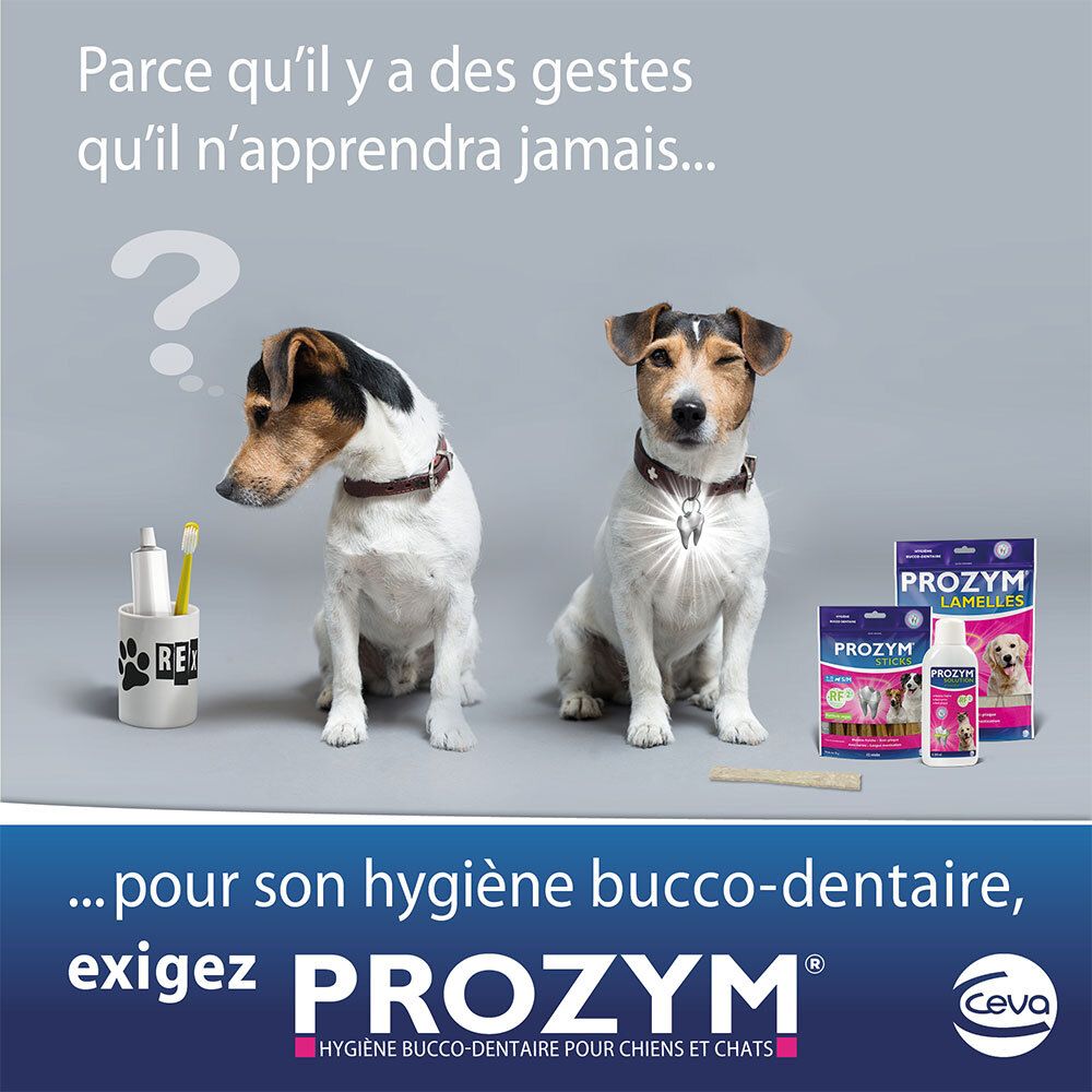 Zwei Hunde mit Fragezeichen. Produkte: Prozym Lamelles und Mundhygiene-Lösung. Text: Für die Mundhygiene, fordern Sie Prozym.