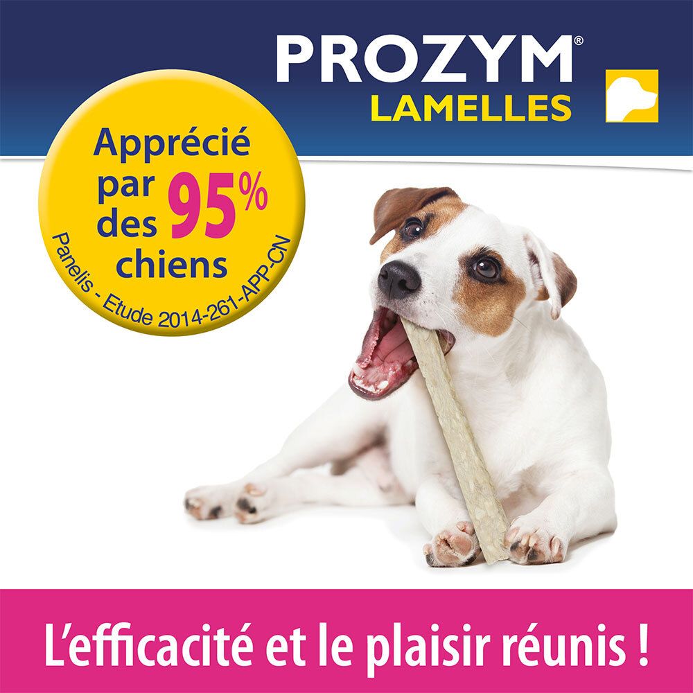 Hund mit Lamelle im Maul. Text: 95% der Hunde schätzen es. Produktlogo.