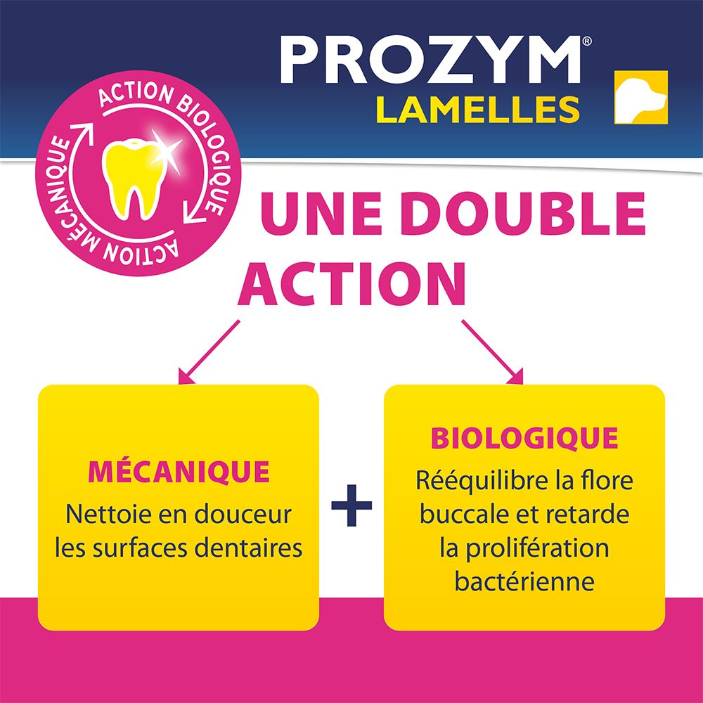PROZYM LAMELLES. Doppelte Wirkung: Mechanisch und biologisch. Reinigt sanft die Zähne und hemmt Bakterien.