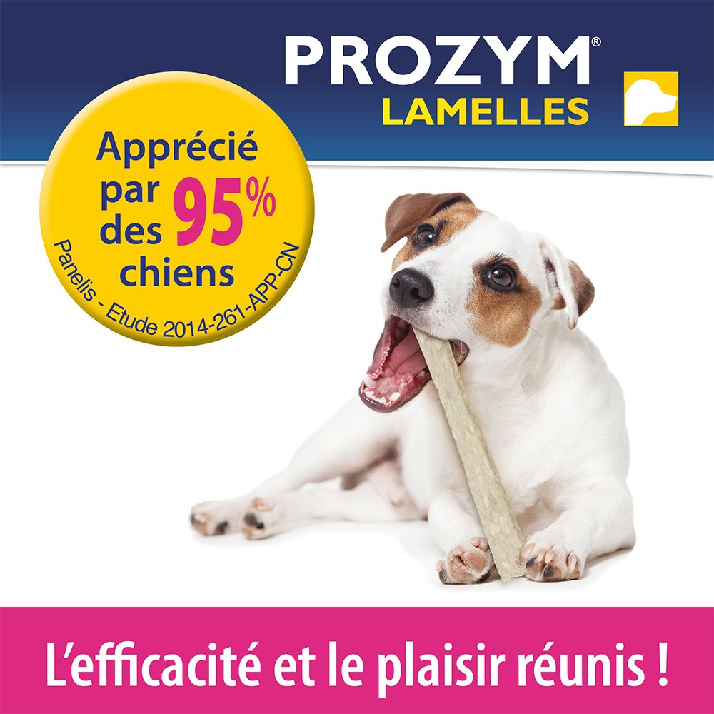 Hund kaut auf Lamelle. PROZYM LAMELLES. 95% der Hunde schätzen es. Effizienz und Genuss vereint.