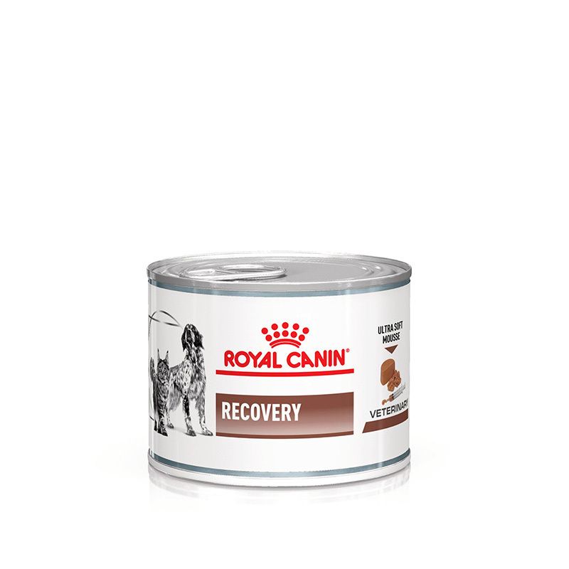 Vorderseite einer Dose ROYAL CANIN® Recovery Ultra weicher Schaum Hund und Katze mit Abbildung von Hund, Katze und Futter.