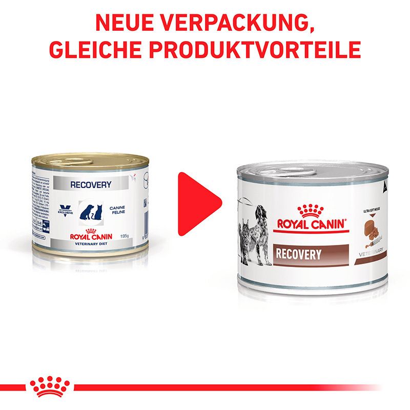 Rückseite einer Dose ROYAL CANIN® Recovery Ultra weicher Schaum Hund und Katze mit detaillierten Produktinformationen.