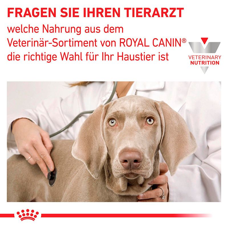 Vorderseite einer Dose ROYAL CANIN® Recovery Ultra weicher Schaum Hund und Katze mit Abbildung von Hund, Katze und Futter.