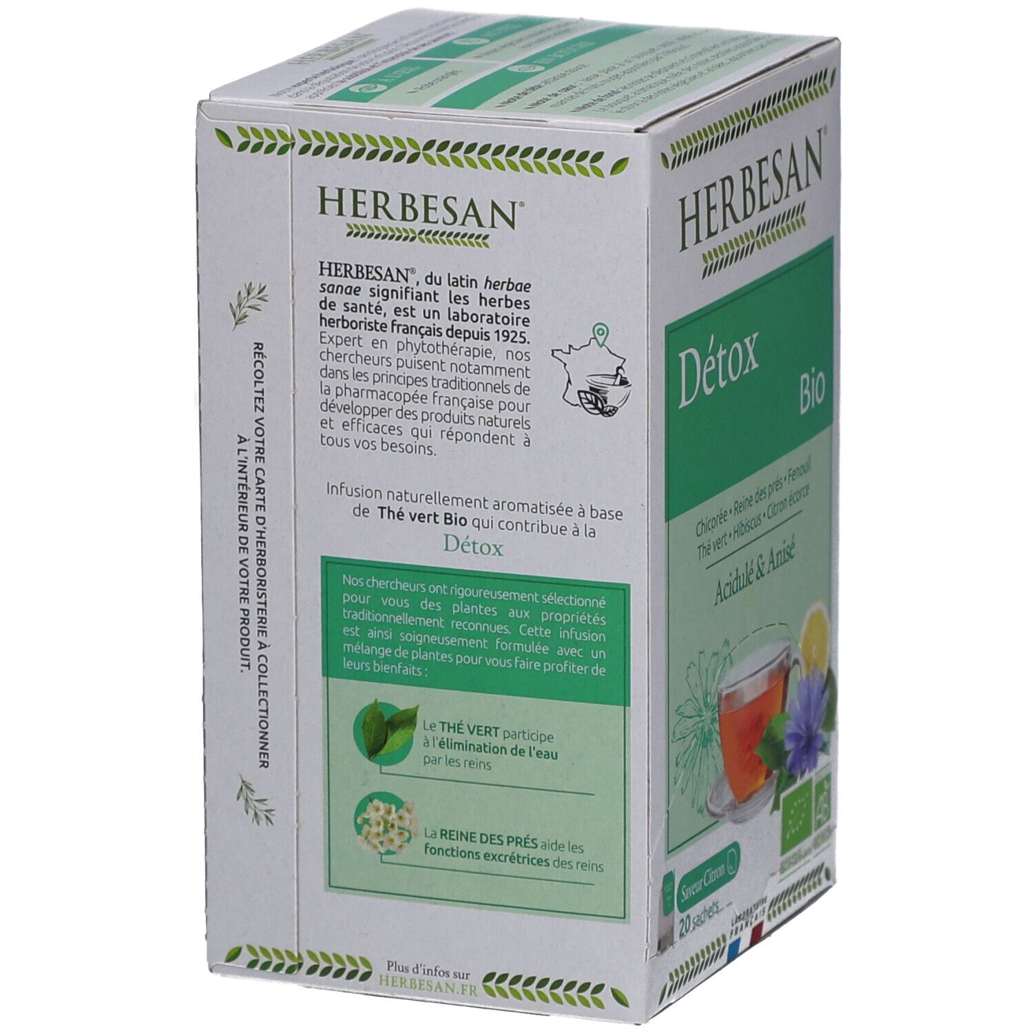 Herbesan Bio Detox - Chicorée, Wiesenkönigin, Fenchel, Grüntee