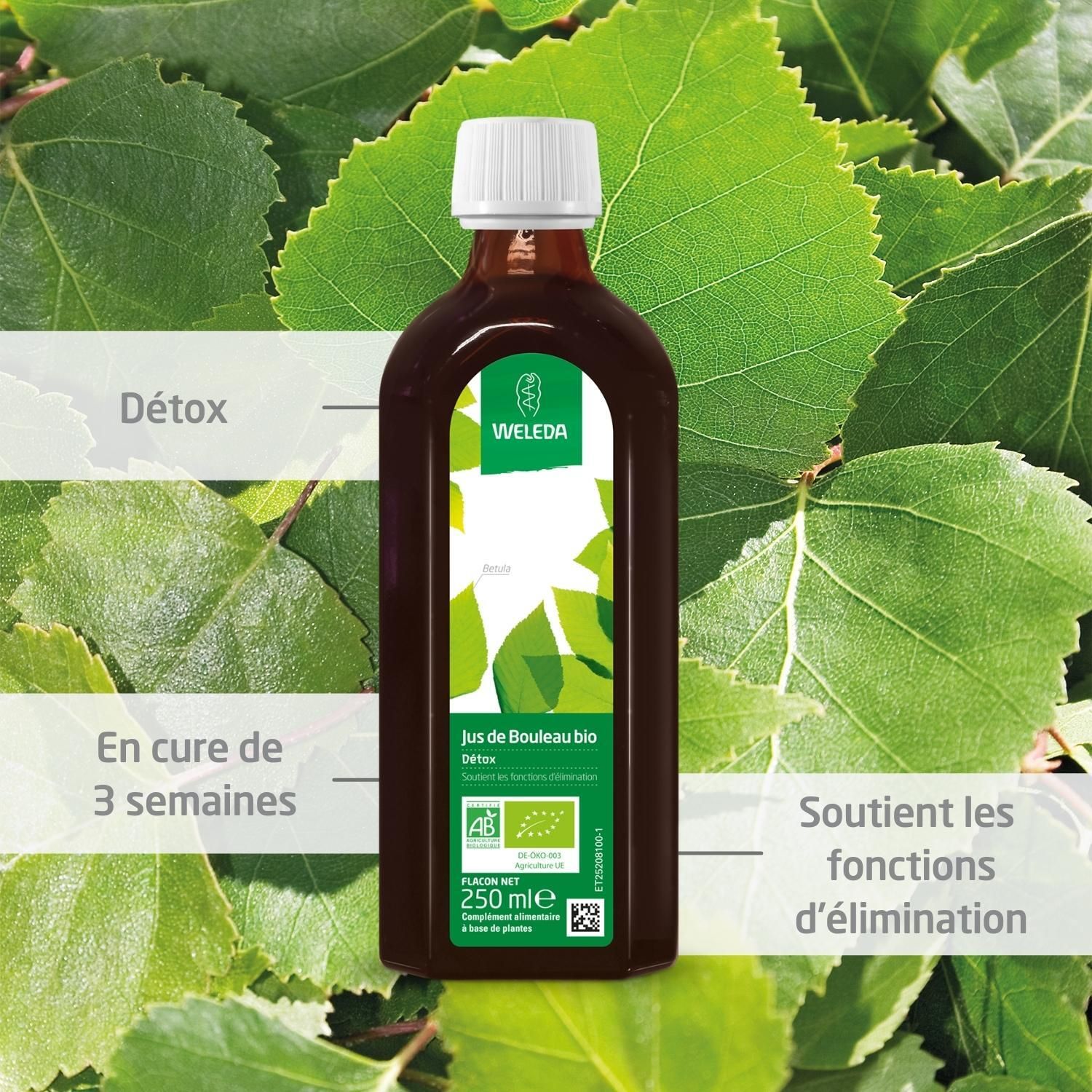 WELEDA Jus de Bouleau Bio