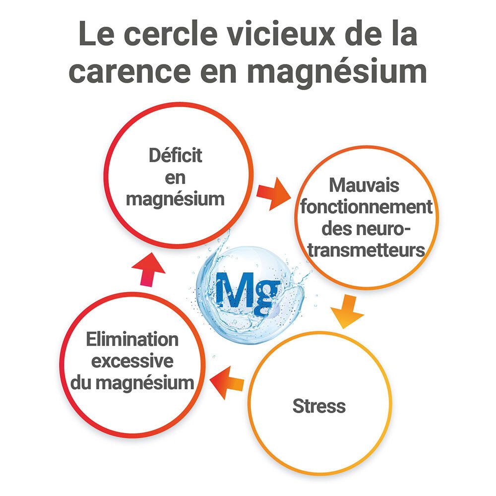 MAG 2 Exam