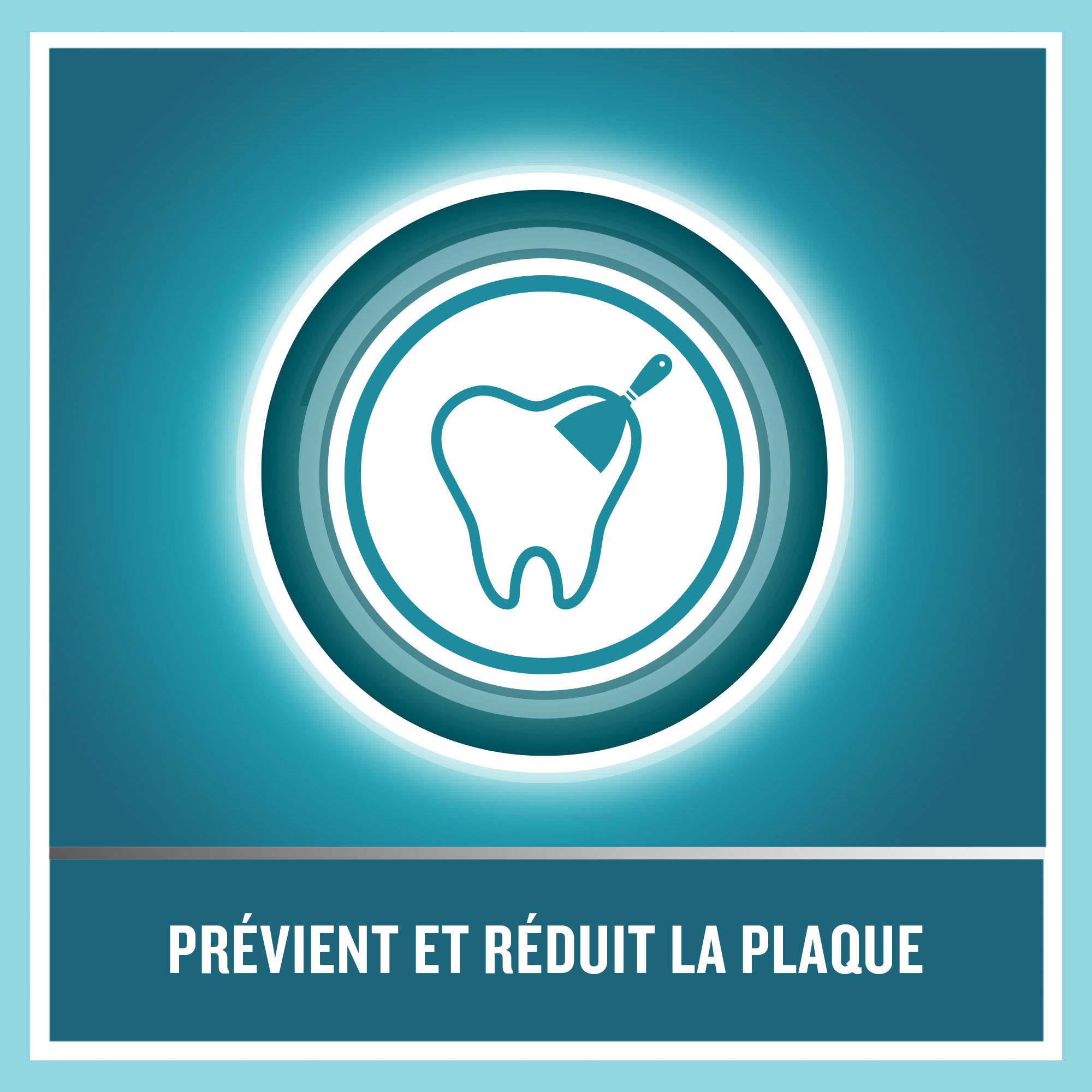 Symbole : dent avec grattoir dans un cercle. Texte : Prévient et réduit la plaque.