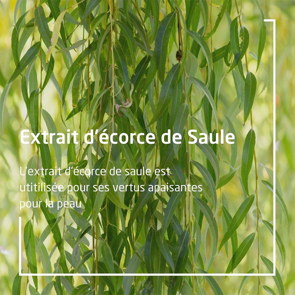 Texte: Extrait d'écorce de Saule. Texte sur les vertus apaisantes de l'extrait d'écorce de saule pour la peau.