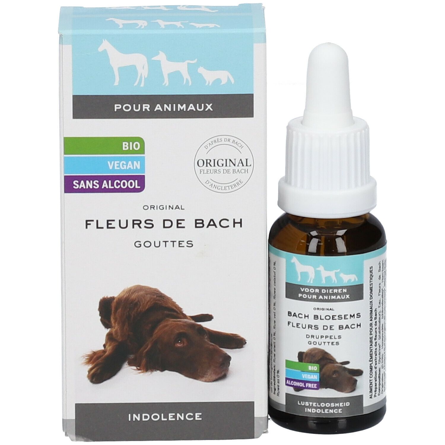 Bachblüten Tiere Tropfen Indolenz