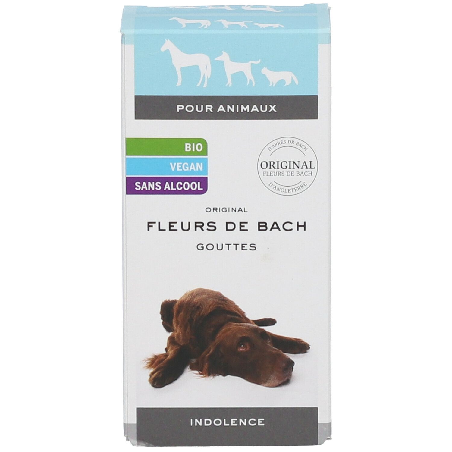 Bachblüten Tiere Tropfen Indolenz