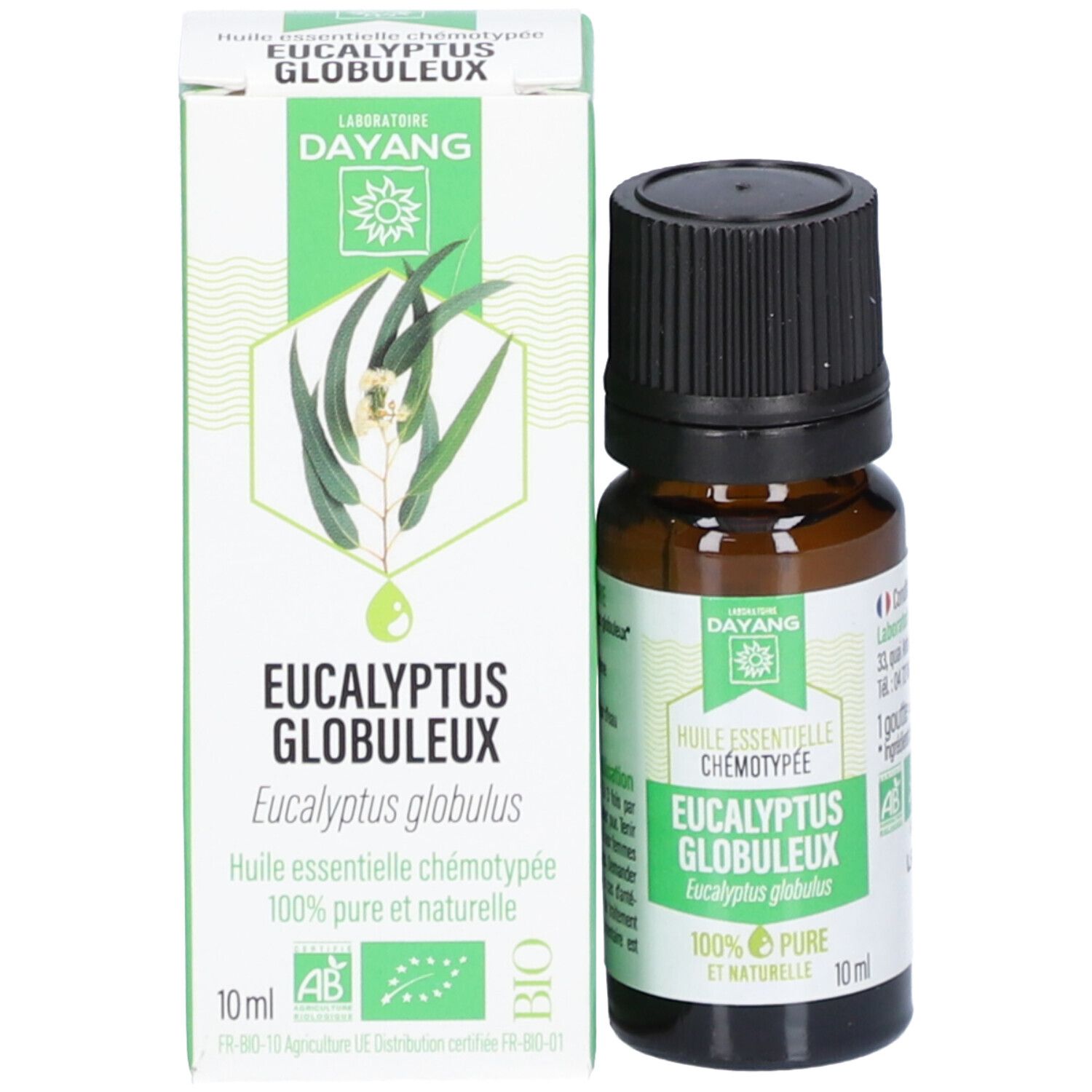 Dayang HE Eucalyptus globulus BIO
