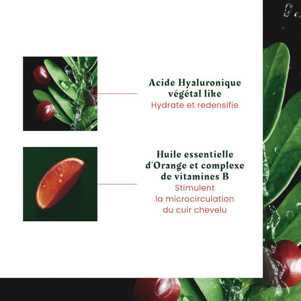 Nahaufnahme von Inhaltsstoffen. Text: Hyaluronsäure, ätherisches Orangenöl, Vitamine B.