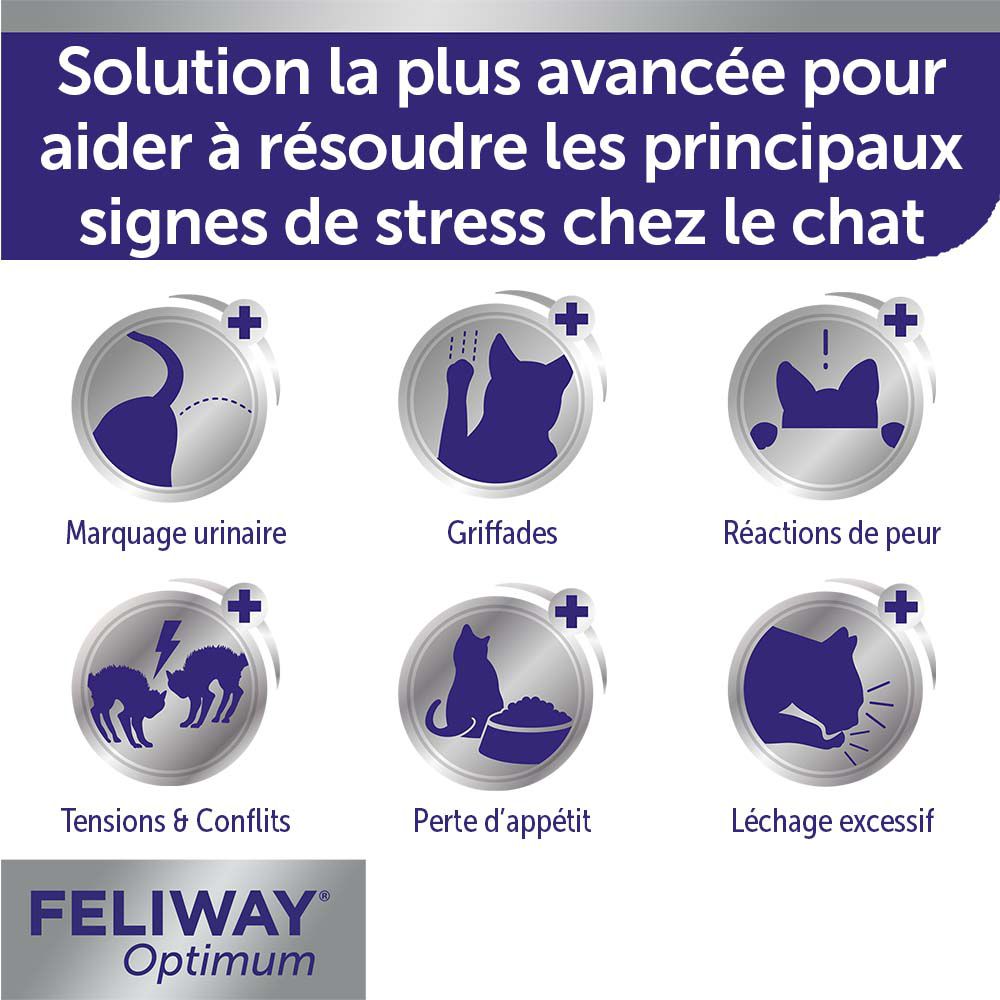 Grafische Darstellung von Katzen-Stress-Symptomen. Text: Solution la plus avancée pour aider à résoudre les principaux signes de stress chez le chat.