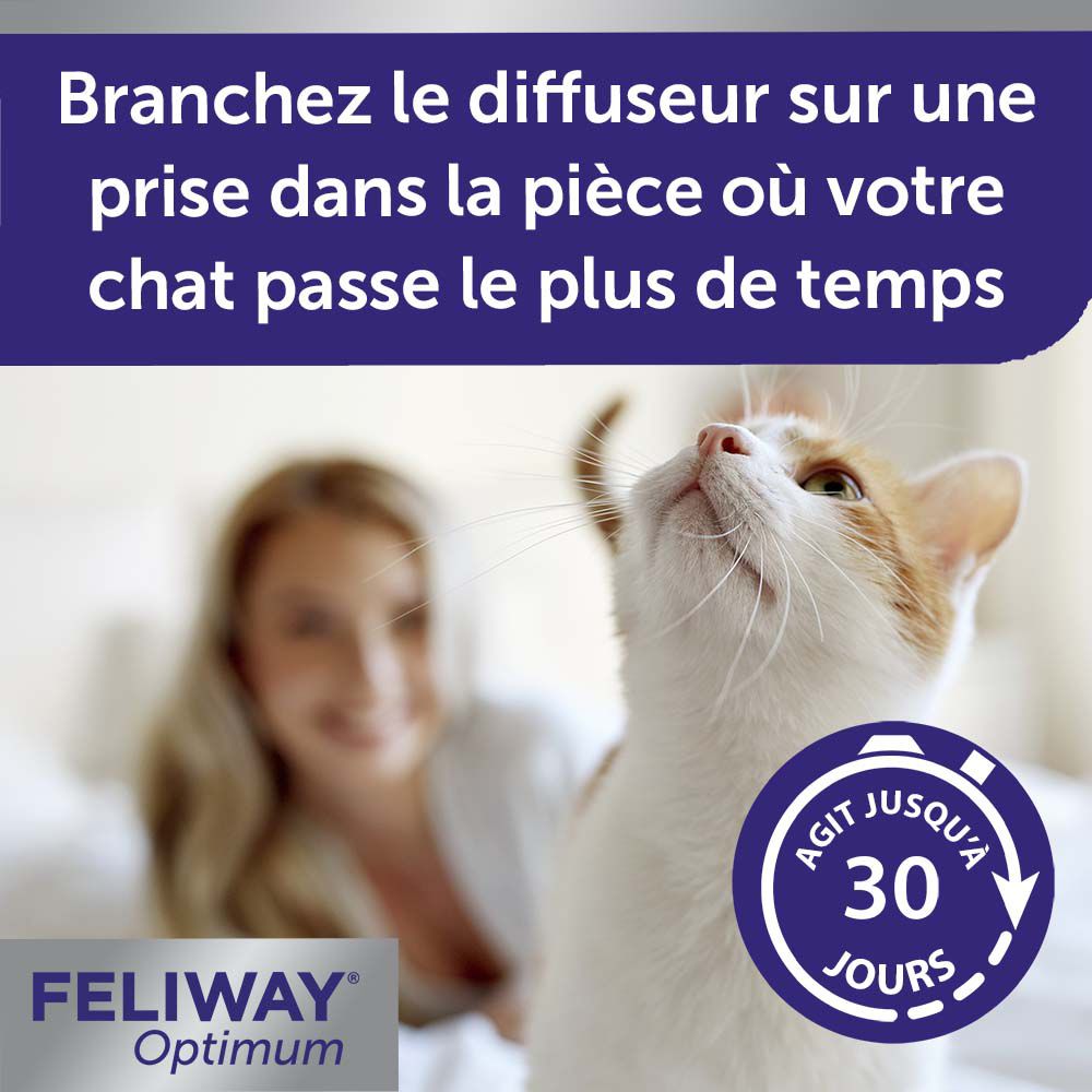 Katze schaut nach oben. Text: Branchez le diffuseur sur une prise dans la pièce où votre chat passe le plus de temps. Agit jusqu'à 30 jours.