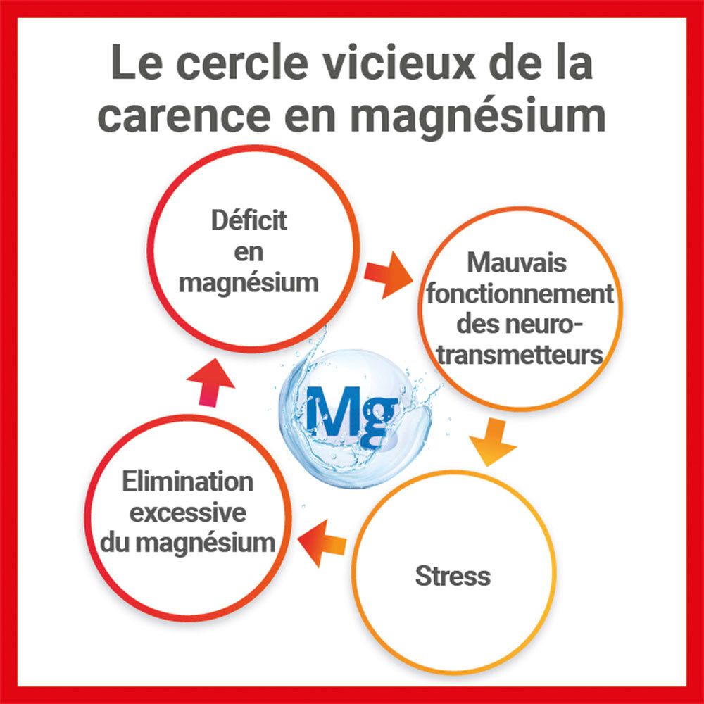 MAG 2 24H, complément alimentaire au magnésium marin - lot de 2 45+15 comprimés