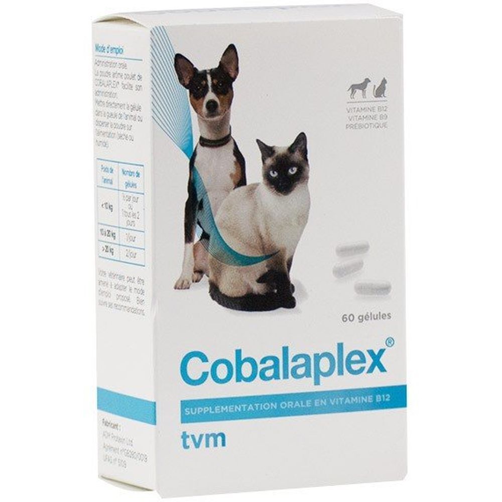 Weißer Karton mit Produktnamen Cobalaplex, Abbildung von Hund und Katze, 60 Kapseln.