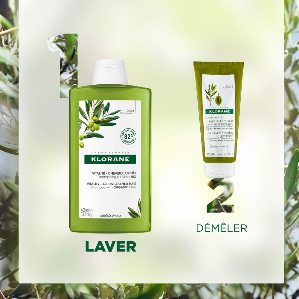 KLORANE Olivenbaum-Shampoo BIO