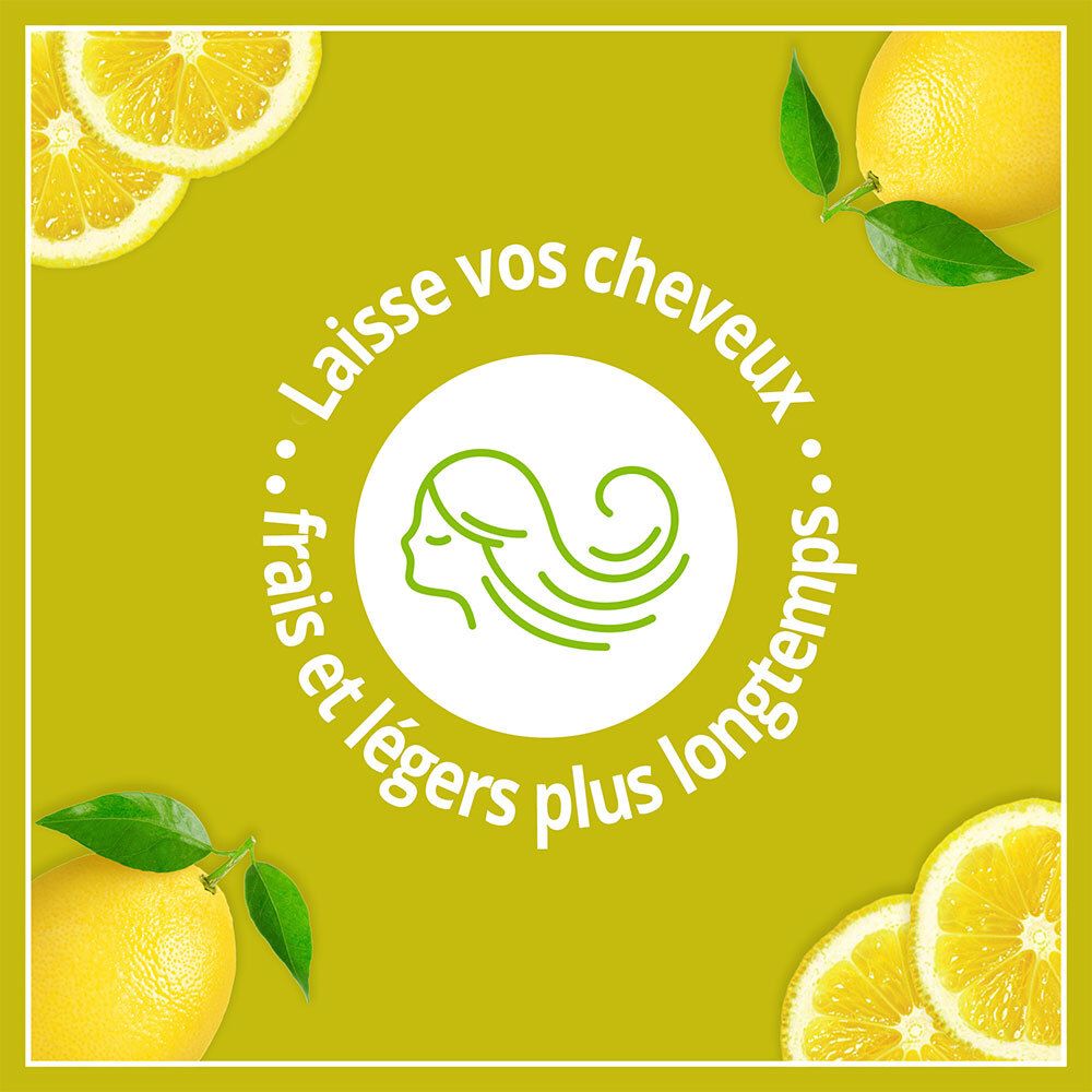 Le Petit Marseillais Shampooing Purifiant - Feuille d'Ortie et Citron Bio
