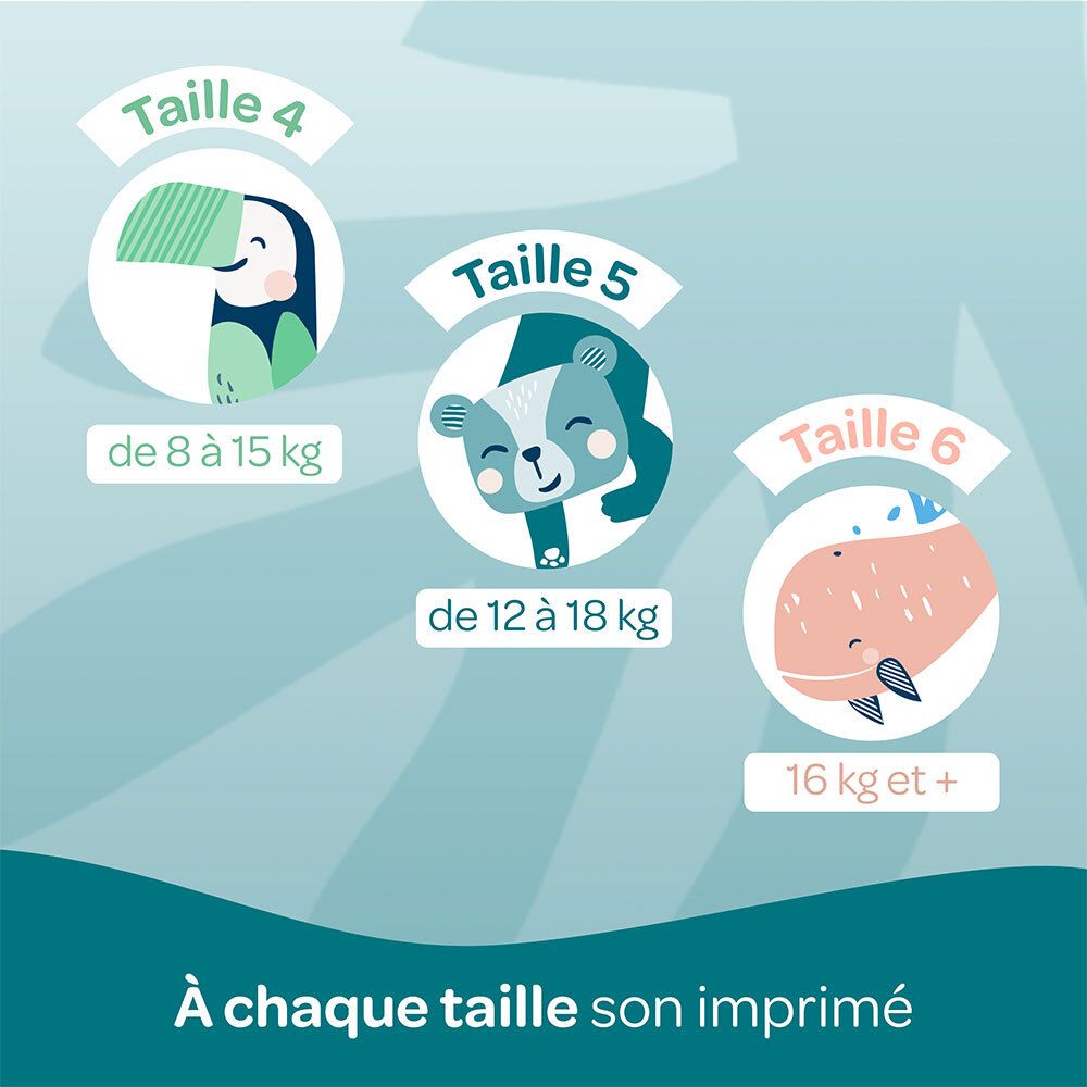 Größenübersicht Biolane Höschenwindeln: Größe 4 (8-15 kg), Größe 5 (12-18 kg), Größe 6 (16 kg+). Illustrationen.