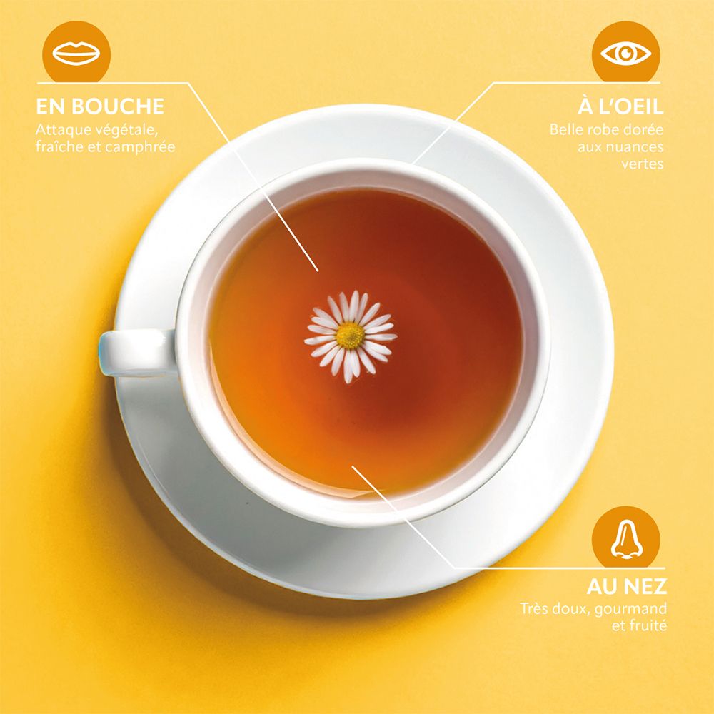 Tasse Tee mit Kamillenblüte. Beschreibungen: Geschmack, Aussehen, Geruch. Gelber Hintergrund.