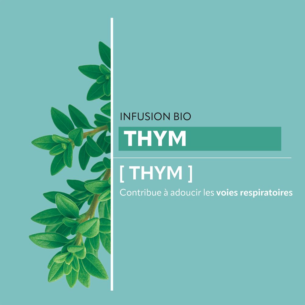 Grafik mit Thymian-Zweig und Text: Infusion Bio Thym. Trägt zur Linderung der Atemwege bei.