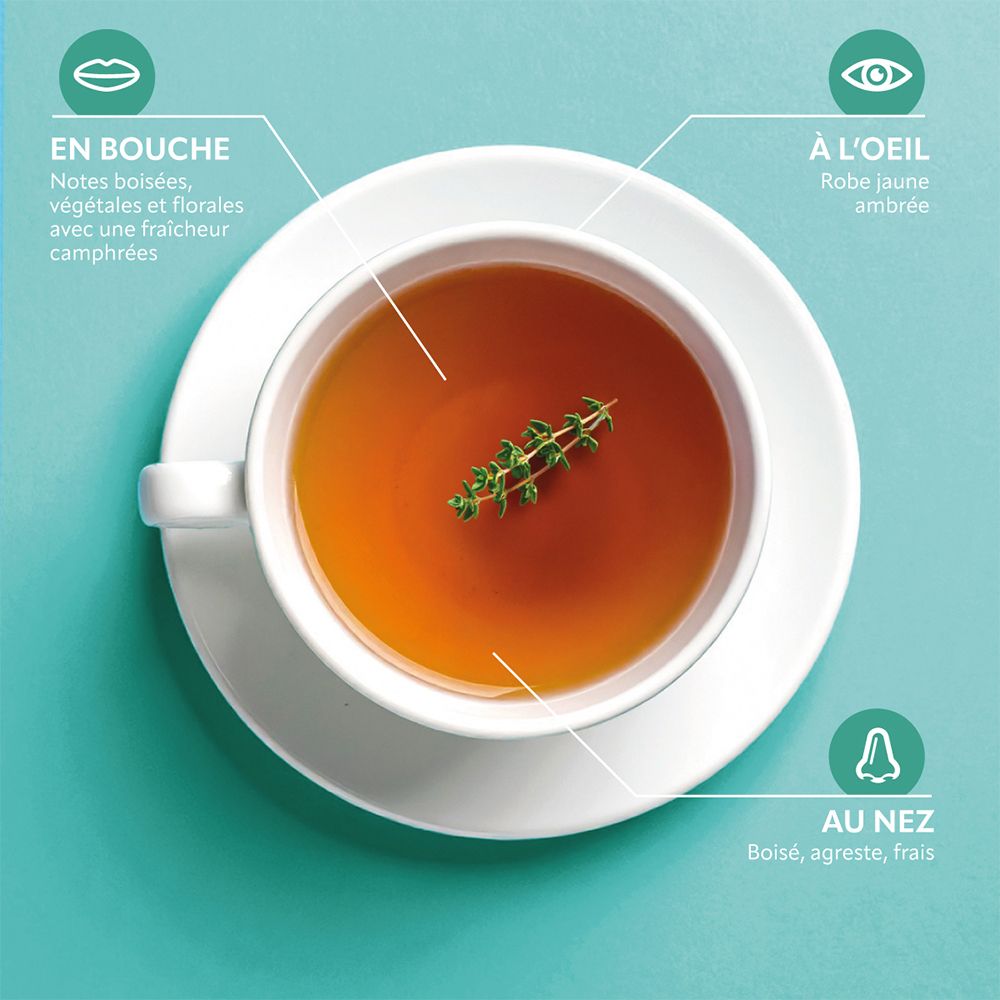 Tasse Tee mit Thymian. Beschriftung: En bouche, À l'oeil, Au nez.