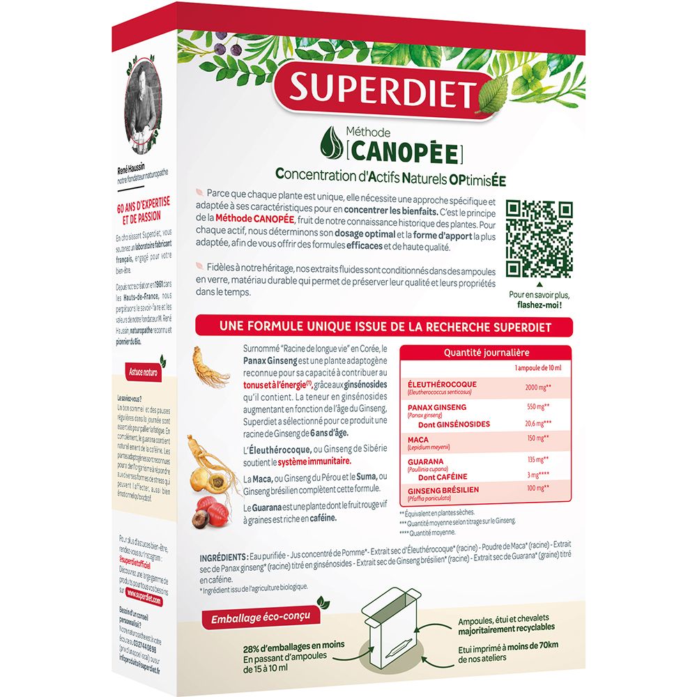 Rückseite der Gins4-Verpackung. Enthält Informationen zu Inhaltsstoffen und täglicher Menge. Öko-Verpackung.