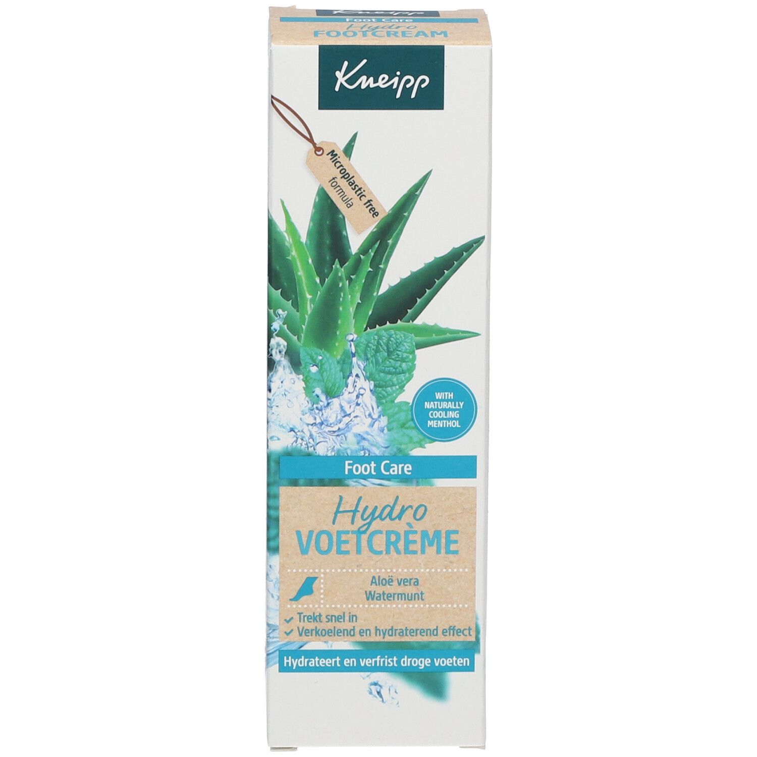 planta agave Agave franzosinii main image 0