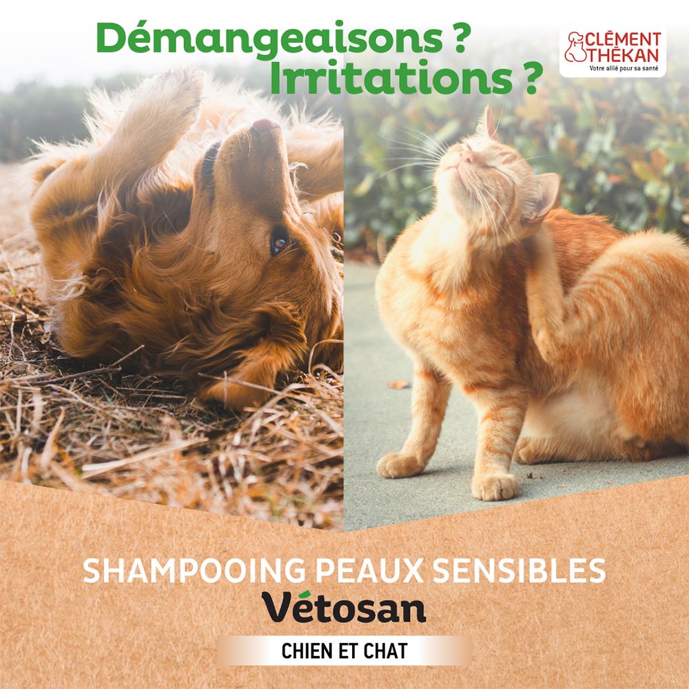 Bild zeigt einen Hund und eine Katze. Text: Shampooing Peaux Sensibles Vétosan. Chien et Chat.