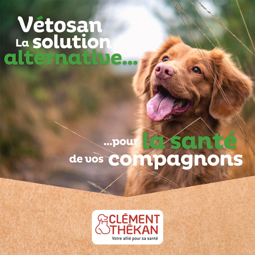 Hund im Gras. Text: Vétosan. Text: La solution alternative... pour la santé de vos compagnons.