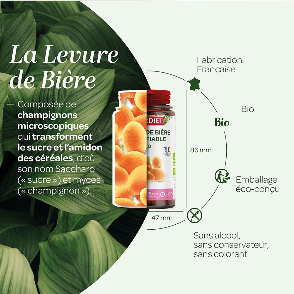 SUPER DIET Levure de bière revivifiable Bio