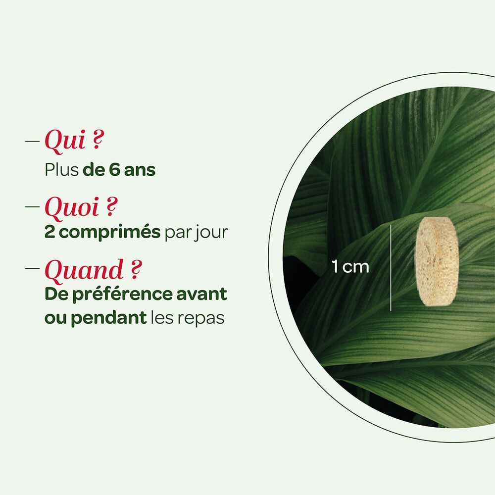 SUPER DIET Levure de bière revivifiable Bio
