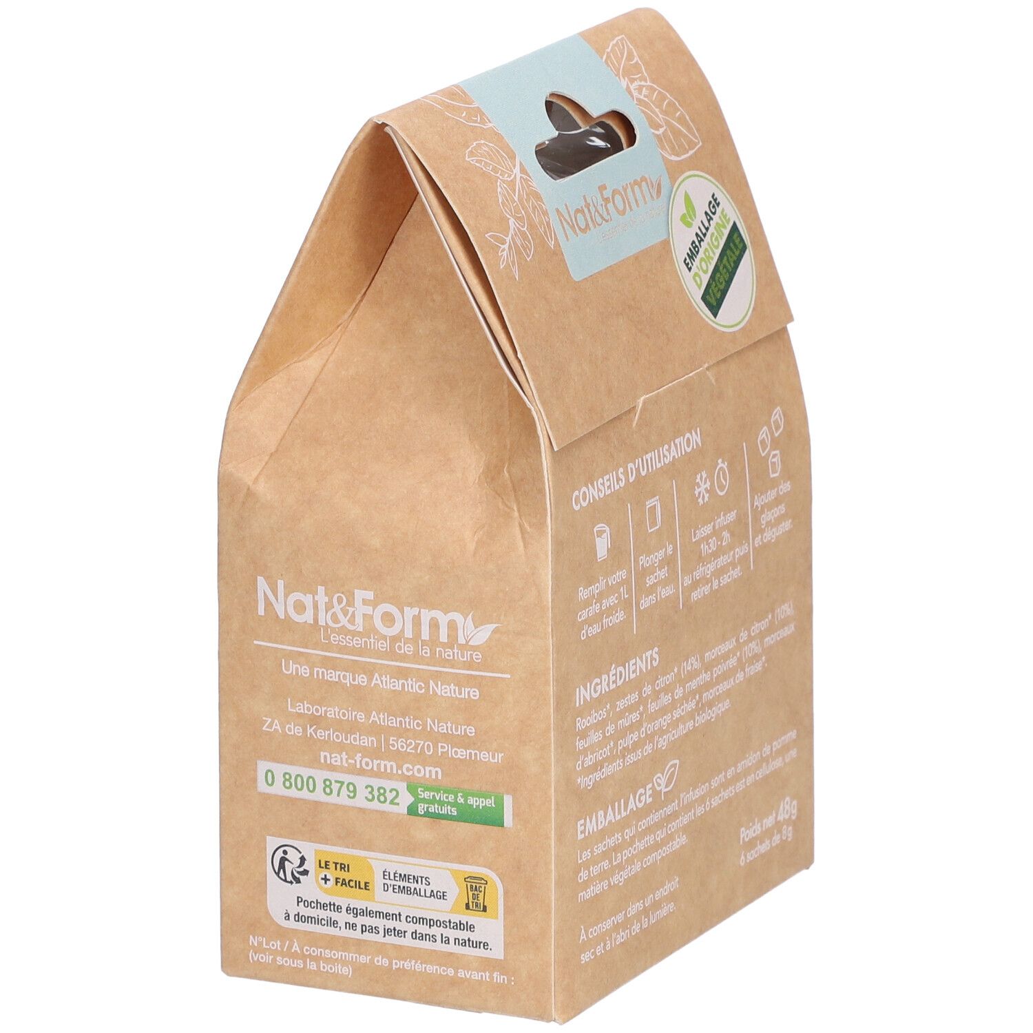 Nat&Form Bio-Eistee Minze Zitrone