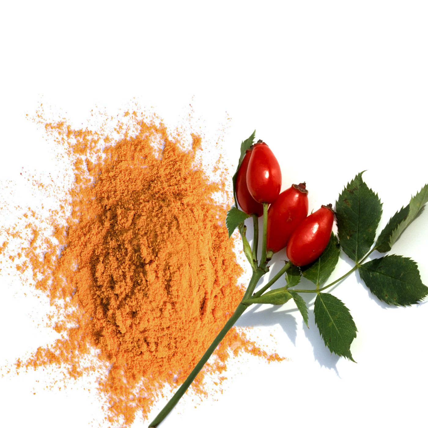 amoseeds POUDRE DE CYNORRHODON BIO