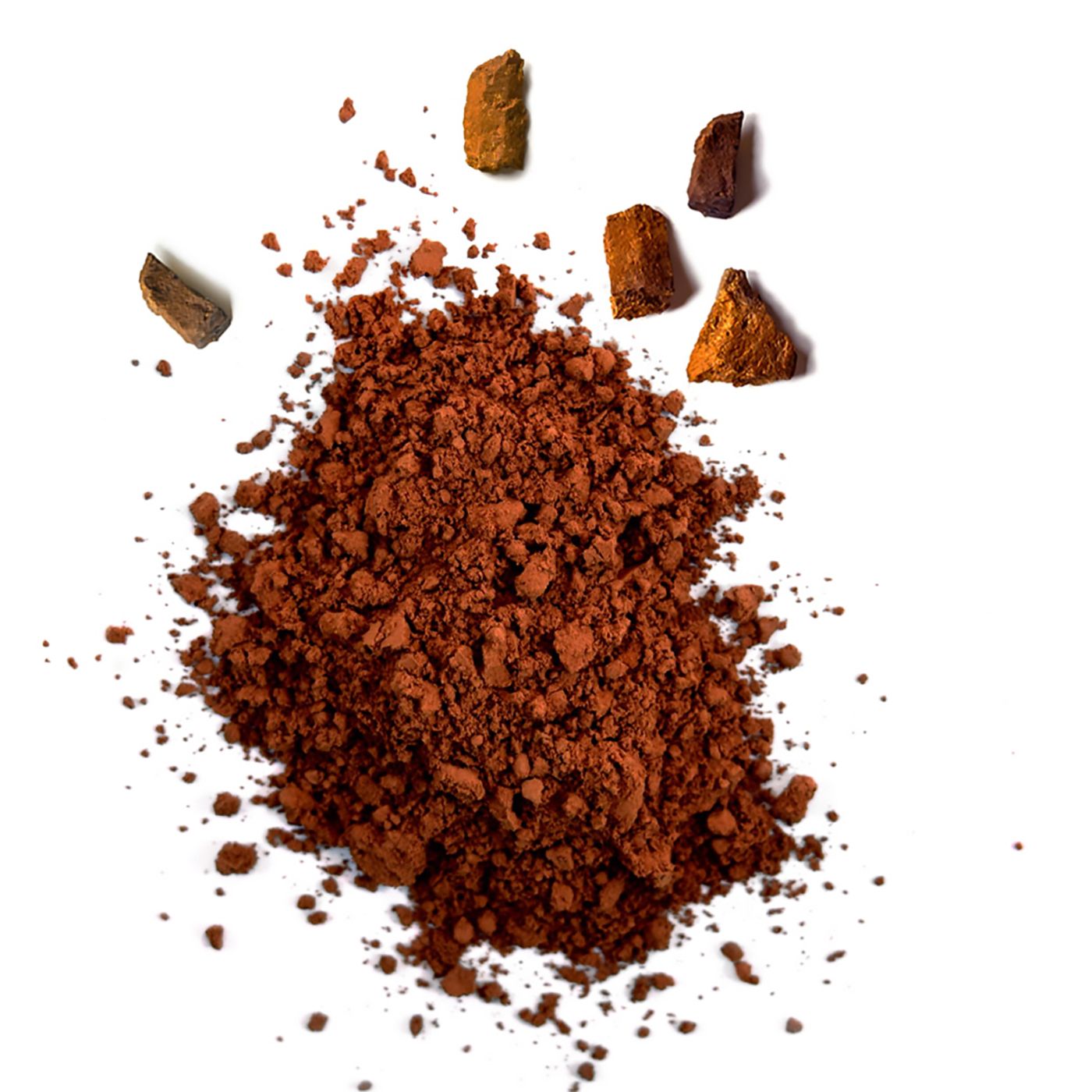 Poudre brune et morceaux de champignon Chaga sur fond blanc. 5 morceaux de Chaga au-dessus.
