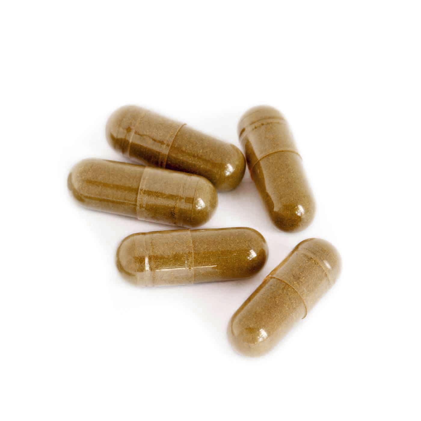 amoseeds MORINGA BIO, EXTRA FORT