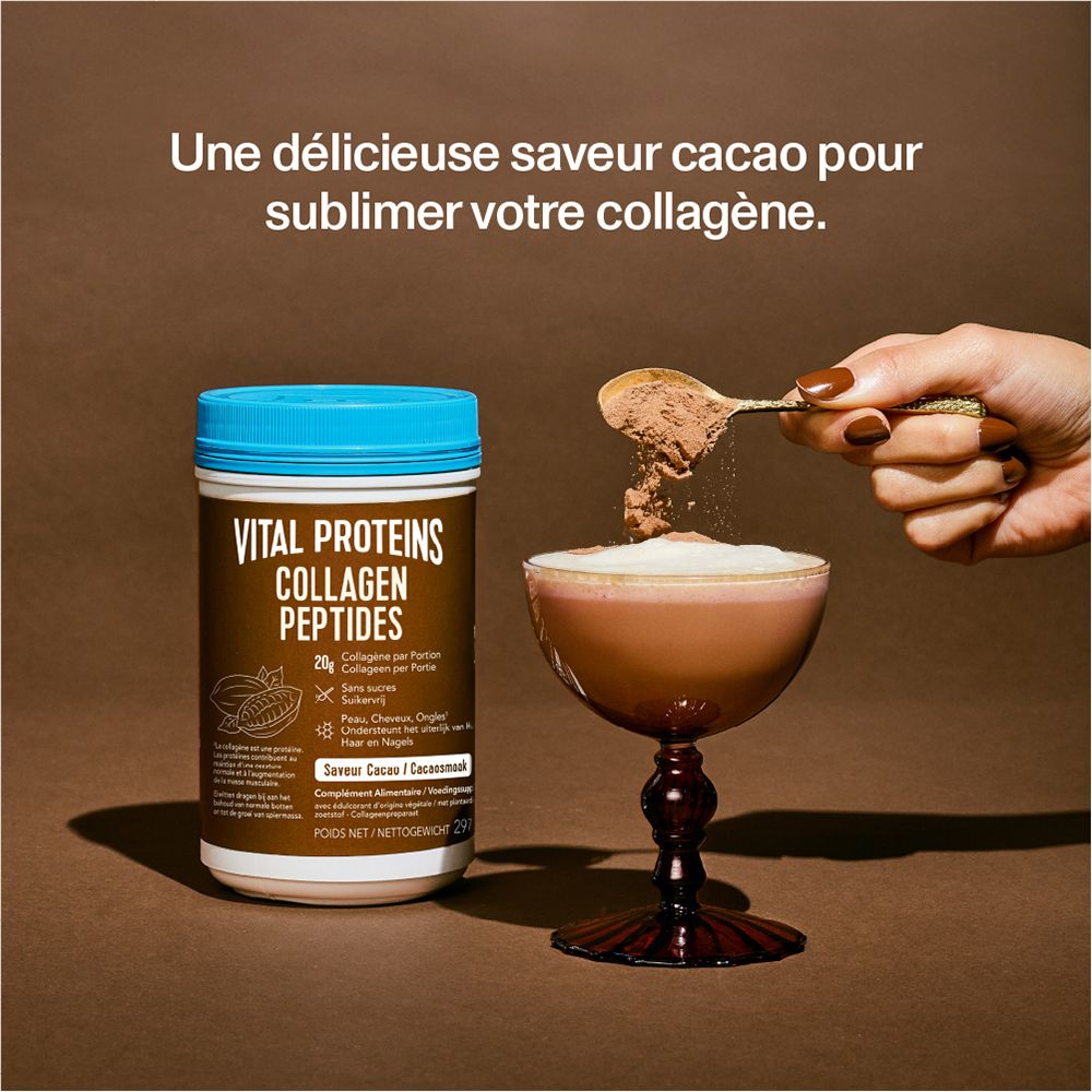 VITAL PROTEINS Collagen Peptide Kakaogeschmack - Rinderkollagen