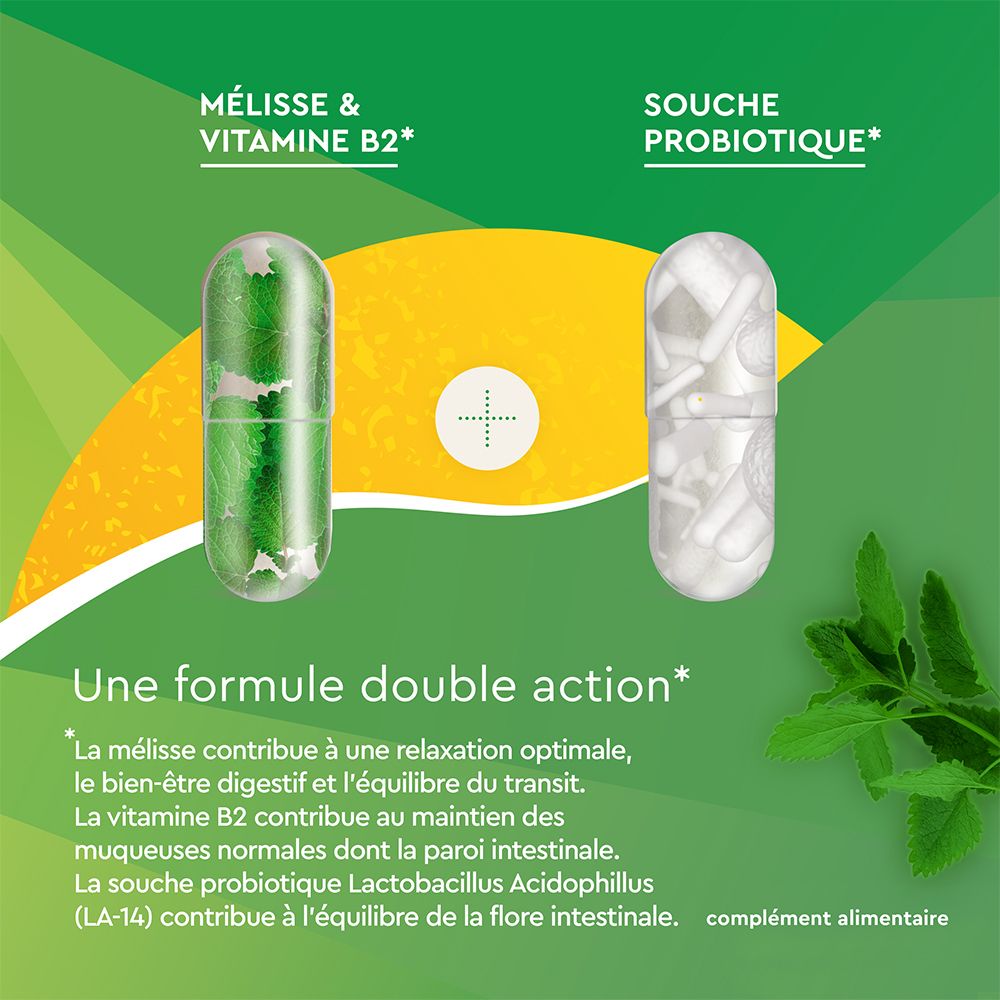 EuphytoseStress® Verdauung - Stress und Darmkomfort - Probiotika, Melisse, Vitamin B2