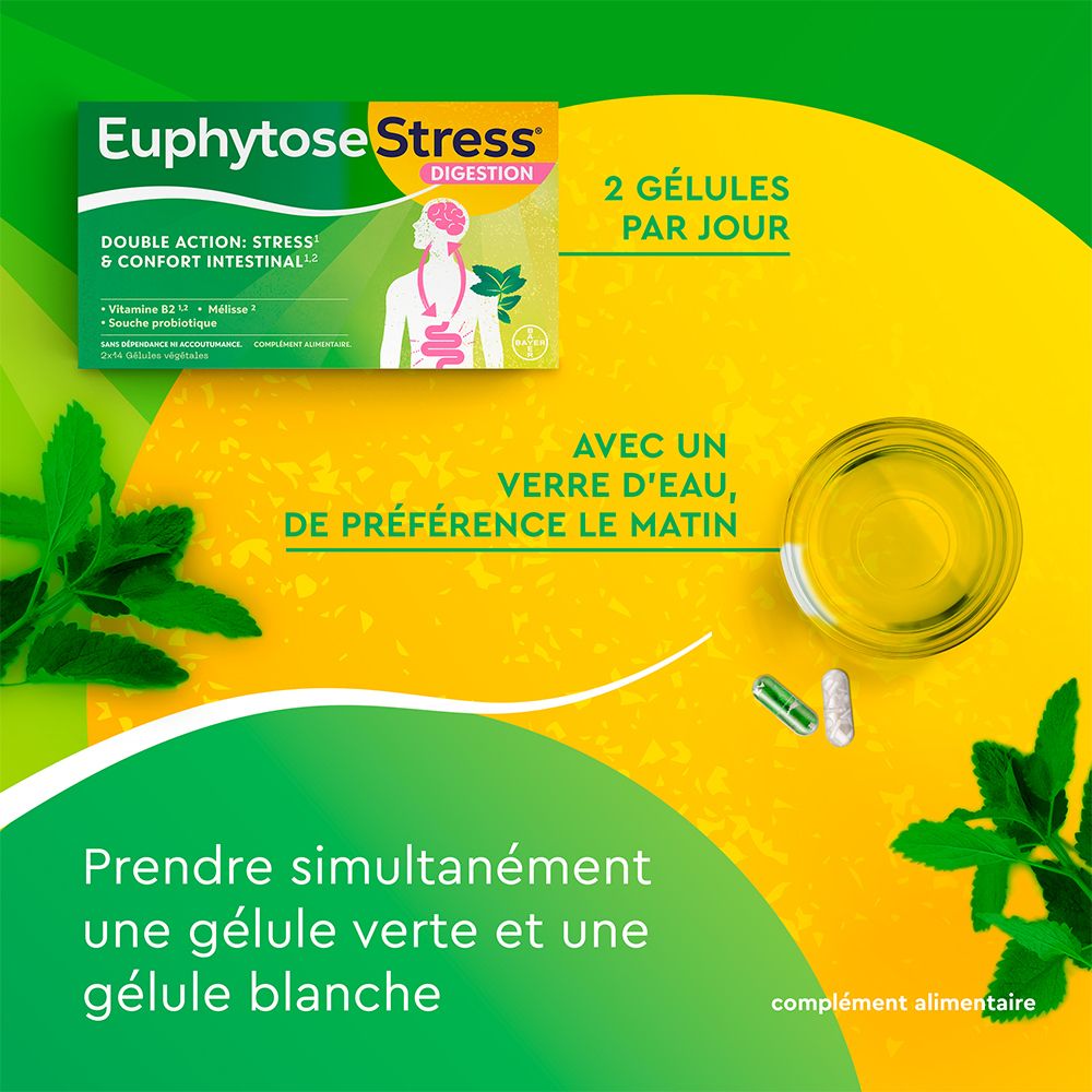 EuphytoseStress® Verdauung - Stress und Darmkomfort - Probiotika, Melisse, Vitamin B2