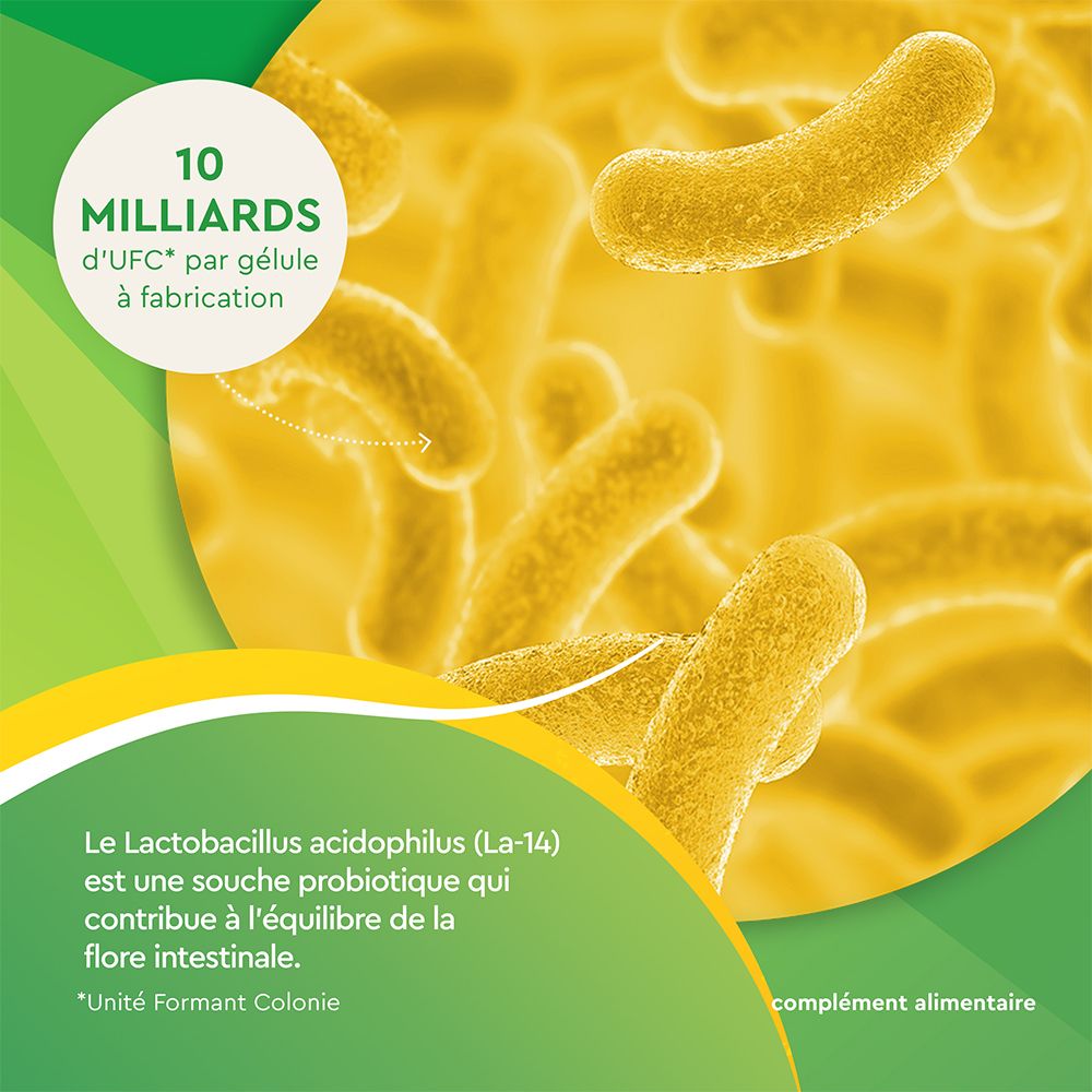 EuphytoseStress® Verdauung - Stress und Darmkomfort - Probiotika, Melisse, Vitamin B2