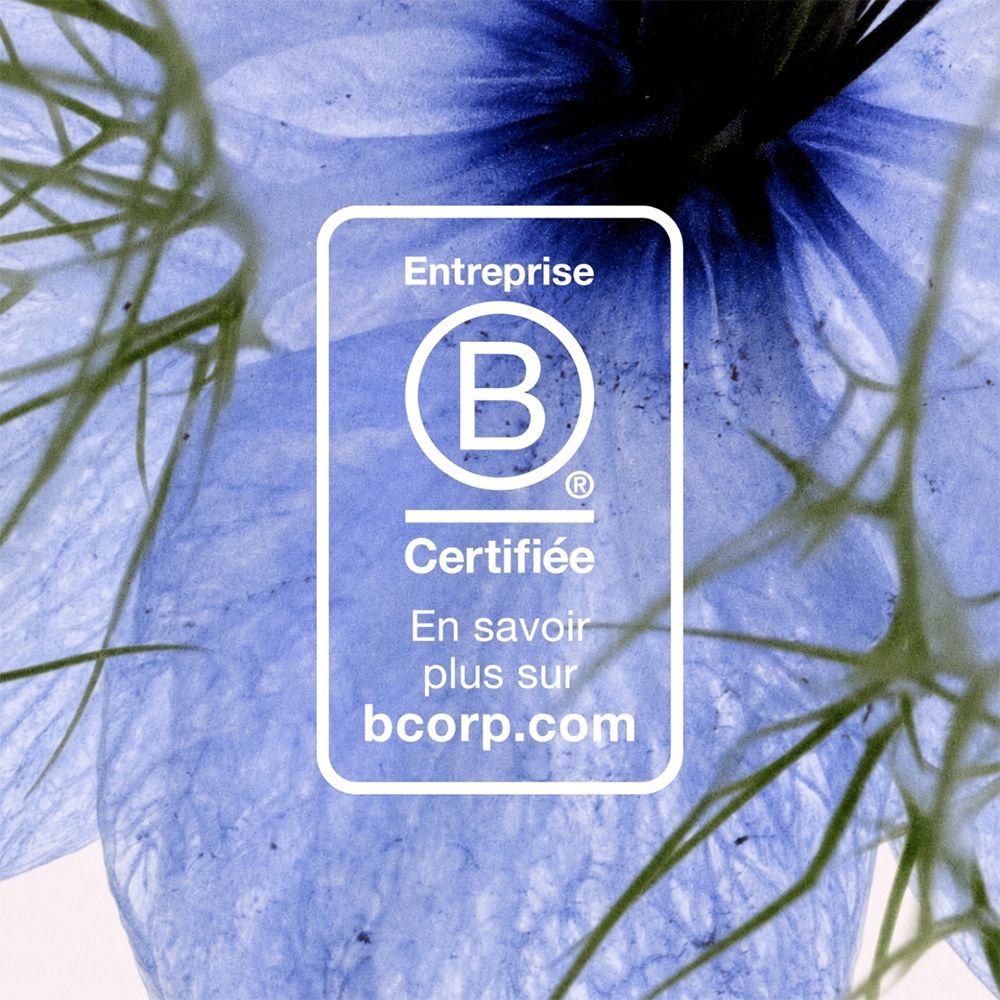 B Corp Zertifizierungssiegel auf dem Hintergrund einer blauen Blume.