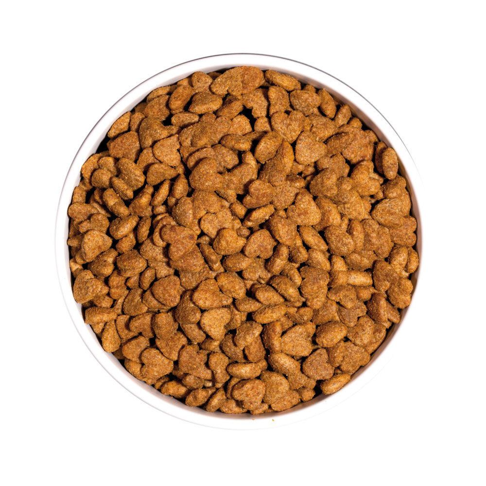 Draufsicht auf eine Schüssel mit braunen, runden Trockenfutter-Pellets.